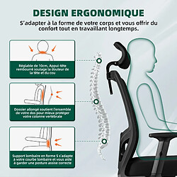 Chaise de Bureau Ergonomique Lexzurn, Accoudoirs Réglables