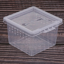 160 Pcs Reptile Food Water Feeder Alimentation Araignée Bassin Insecte Tortue Reproduction