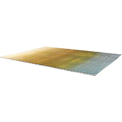 Avis Vivaraise Tapis en polyester Lilo 200 x 290 cm.