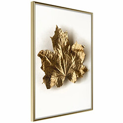 Paris Prix Affiche Murale Encadrée Dried Maple Leaf 20 x 30 cm Or