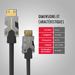 Avis Monster Câble HDMI M1000 UHD 4K HDR 22.5 Gbit/s 5m Argent