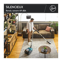 Avis Hoover HE530ALG