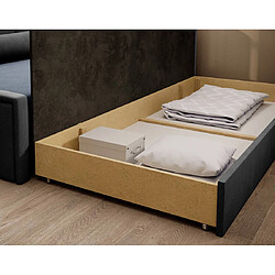 Acheter Bestmobilier James - canapé 3 places droit convertible avec coffre en velours