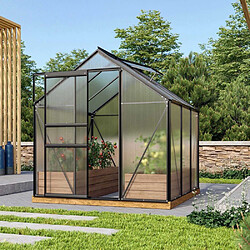 Vitavia Serre de jardin en polycarbonate 4 mm et aluminium noir avec embase Venus Longueur de 195 cm.