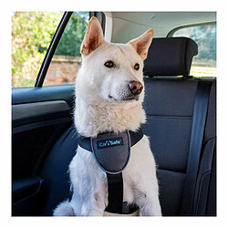 Harnais pour Chien Company of Animals CarSafe Noir Taille M