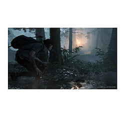 SONY COMPUTER ENTERTAINMENT The Last of Us Part II Jeu PS4