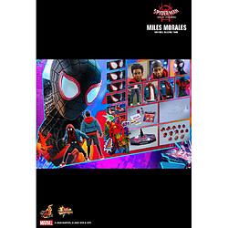 Hot Toys MMS567 - Marvel Comics - Spider-Man : Into The Spider-Verse - Miles Morales