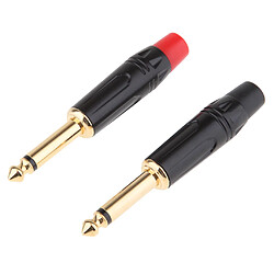 Lot de 2 Adaptateurs pour Câble Jack Plaqués Or Prise Jack Mâle 6.5mm pour Écouteurs et Casques Audio Stéréo et Microphone Audio