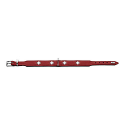 Collier pour Chien Hunter Swiss Rouge/Noir (47-54 cm)