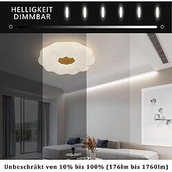 Acheter NETTLIFE Plafonnier LED Dimmable 22W 40CM Rond avec Télécommande Chambre d'Enfant Design Moderne Ciel Étoilé pour Chambre Salle à Manger Couloir