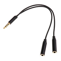 Acheter 3.5mm Mâle à 2 Câble D'adaptateur Audio Femelle Pour Des Pièces D'ampli D'amplificateur De Guitare