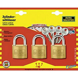 BURG-WÄCHTER Jeu de cadenas en laiton C-Line, Taille : 40, Epaisseur de l'étrier 6 mm, Hauteur intérieure de l'étrier 22 mm, Quantité : 2 pièces