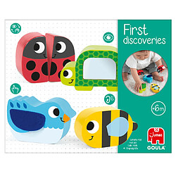 Avis Goula First discoveries Quatre animaux en bois