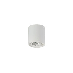 Acheter Inspired Projecteur cylindrique réglable monté en surface, 1 lumière GU10, blanc sable