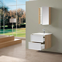 Acheter Wilsa Ensemble de salle de bain blanc et bois 59,5 cm