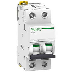 Schneider Electric Schneider A9F93216