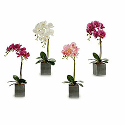 Ibergarden Fleur décorative Orchidée Plastique 14 x 51 x 18 cm (6 Unités)