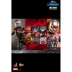 Hot Toys Ant-Man & The Wasp: Quantumania - Figurine Movie Masterpiece 1/6 Ant-Man 30 cm