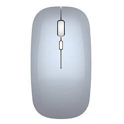 Souris Sans Fil Bluetooth5.0 Double Mode + Mode 2,4 GHz Pour Ordinateur Portable PC Argent pas cher