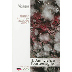 Anniviers et Tourtemagne