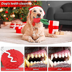 Avis Jouet pour chien en caoutchouc indestructible qui nettoie les dents du chien