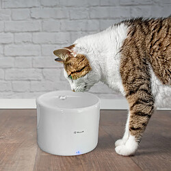 Acheter Tellur Smart WiFi Fontaine pour animal, 2L, Blanc