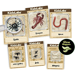 Acheter 4M Kit Découverte de la Science - Déterre Les Insectes