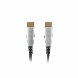 Câble HDMI Lanberg CA-HDMI-20FB-0100-BK Noir 10 m