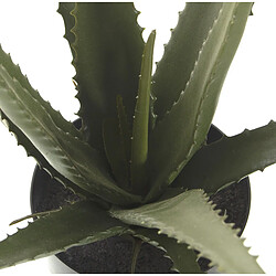 Acheter Plante décorative Alexandra House Living Plastique Aloe Vera 11 x 11 x 39 cm