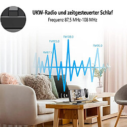 Acheter Elixir Reveil Projecteur Plafond Radio FM Reveil Projection 180° Horloge Numérique avec 7' LED Écran Miroir Chargement USB Port Fonction Snooze Double Alarme Horloge Digitale pour Chambre,Cuisine,Bureau