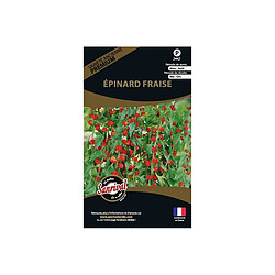 Sanrival Graines potagères premium épinard fraise