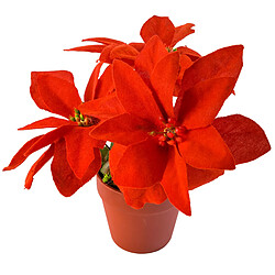 Provence Outillage Poinsettia rouge 20cm la rose de noel