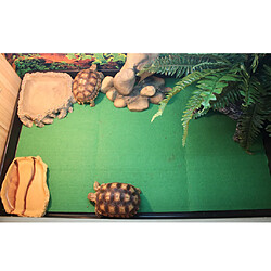 Tapis Substrat Reptile Cage Fiber Pet rongeurs