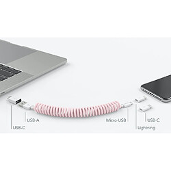 Vonmaehlen VONMAHLEN Câble tout-en-un USB A/micro USB+USB C+Lightning MFI Allroundo® Rose