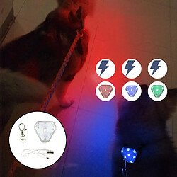 animal de compagnie chien chat collier led lumière conduit s'allume