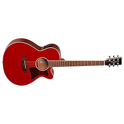 Winterleaf TW4 R Tanglewood