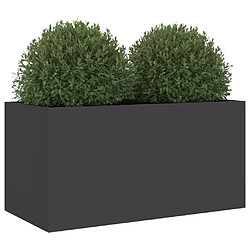 Avis vidaXL Jardinière noir 62x30x29 cm acier