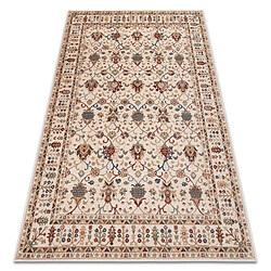 RUGSX Tapis NAIN Ornement, cadre, 1028 51053 beige bordeaux bleu 120x170 cm