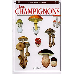 Les champignons