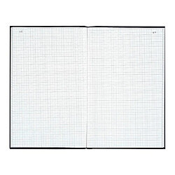 Registre quadrillé 5 x 5 mm folioté 200 pages Exacompta 6529D - 21 x 29,7 cm