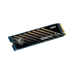 MSI - SPATIUM M450 - SSD interne - 1To - PCIe 4.0 NVMe M.2 pas cher