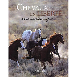 Chevaux en liberté, mustangs - Occasion