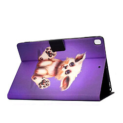 Acheter Etui en PU impression de modèle avec porte-carte chat poilu pour votre Apple iPad 10.2 (2019)