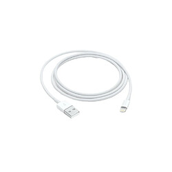 Apple Câble Lightning MD818ZM/A USB-A 2.0 1m Blanc 