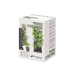 Avis Jardin vertical Mini Cascade Prosperplast avec ciseaux pour herbes anthracite