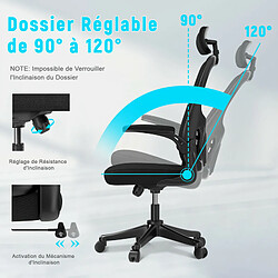 Avis BIGZZIA Chaise de Bureau - Ergonomique Siège-Fauteuil avec 2D Accoudoirs, Hauteur Appui-tête Soutien Lombaire Dossier Règalable Noir