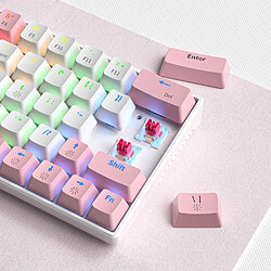 General Clavier de jeu, interrupteurs mécaniques hybrides à 63 touches, touches multimédia, clavier d'ordinateur silencieux rétroéclairé à LED arc-en-ciel, clavier filaire USB étanche pour PC Mac Xbox(Rose et blanc)