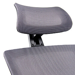 Avis Chaise de bureau / Chaise pivotante CAPTIVO Tissu maille Gris hjh OFFICE