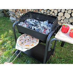 Barbecue charbon de bois