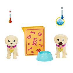 Mattel Barbie Set de jeu d'adoption de chiots avec poupée brunette